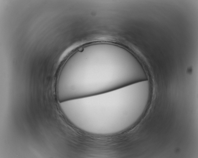 X0000115671222200911120959