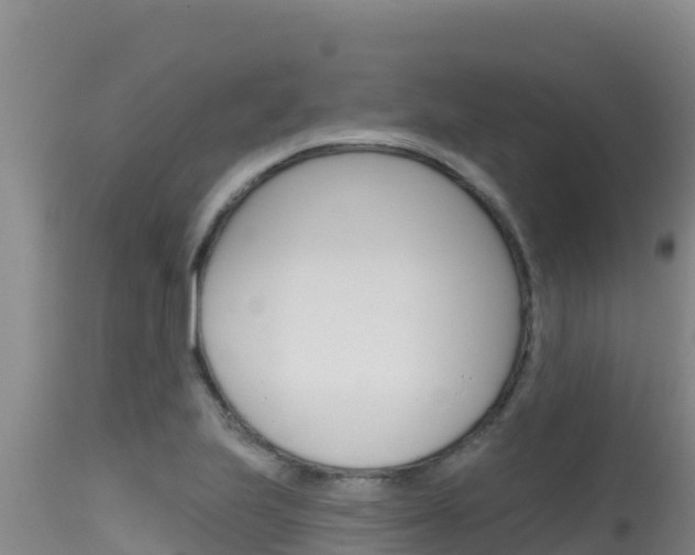 X0000115671223200911120959