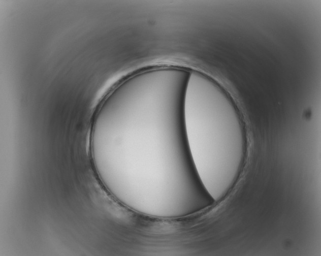 X0000115671224200911120959