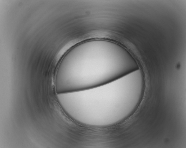 X0000115671226200911120959