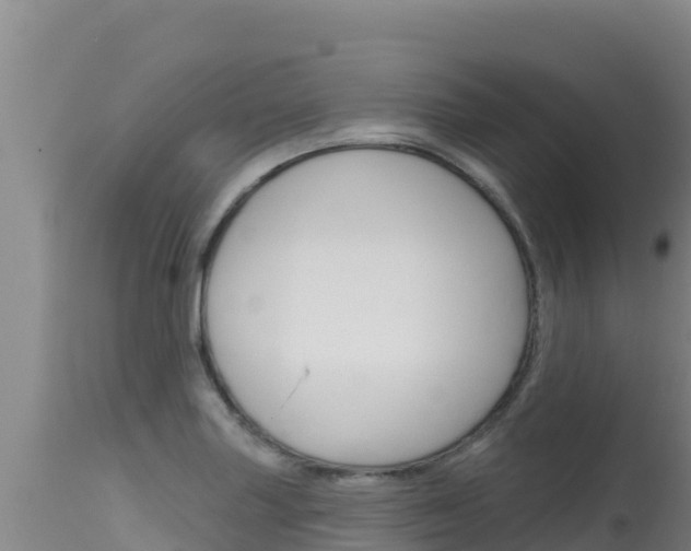X0000115671227200911120959
