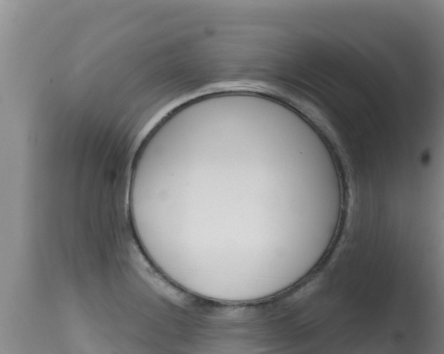 X0000115671228200911120959
