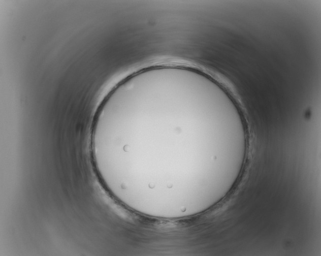 X0000115671231200911120959