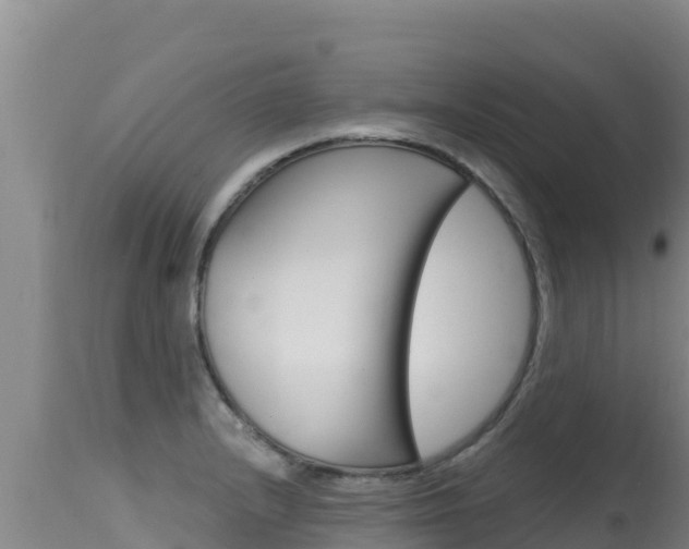 X0000115671232200911120959