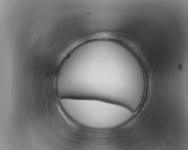 X0000115671233200911120959