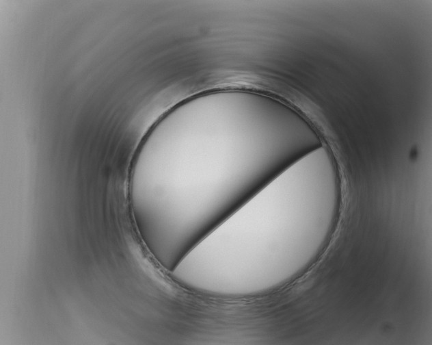 X0000115671234200911120959