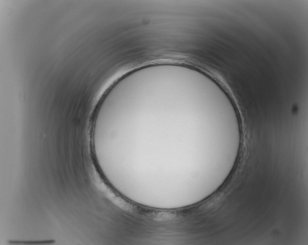 X0000115671235200911120959