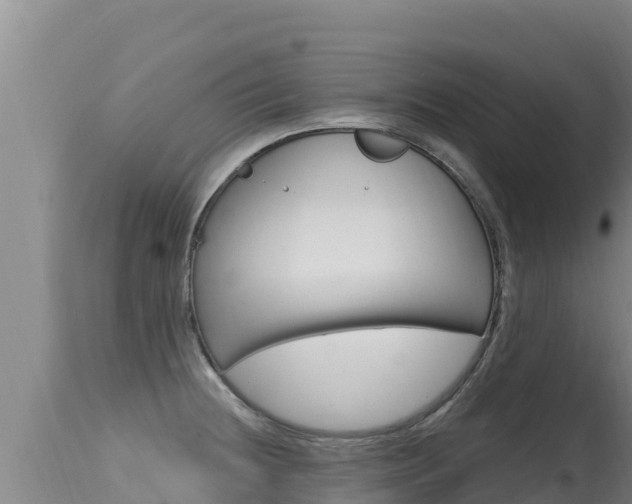 X0000115671236200911120959
