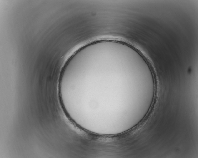 X0000115671237200911120959