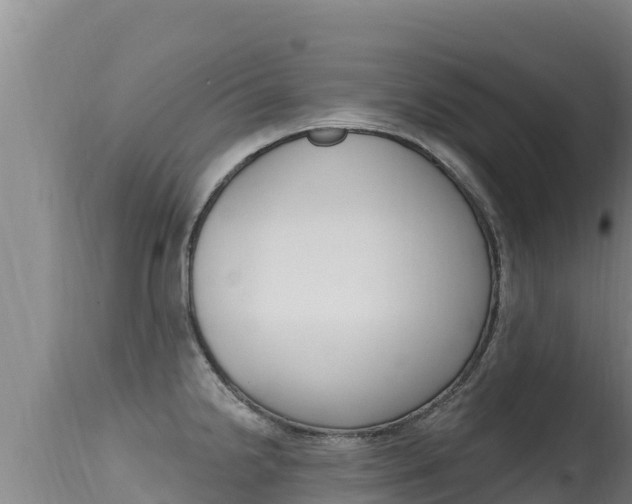 X0000115671238200911120959