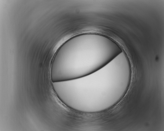 X0000115671242200911120959