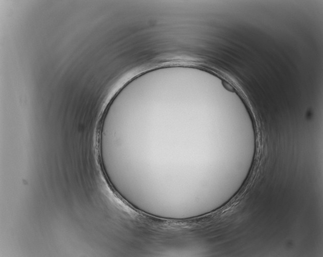 X0000115671243200911120959