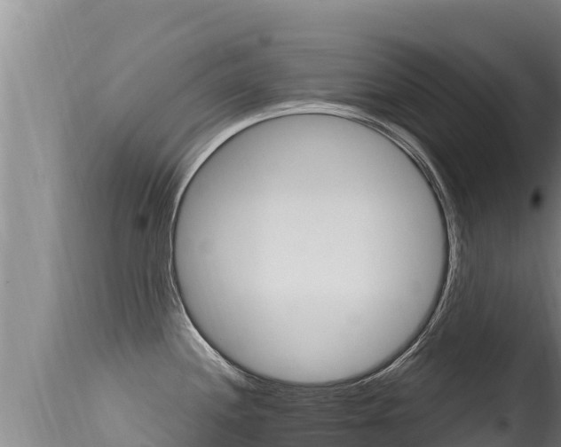 X0000115671244200911120959