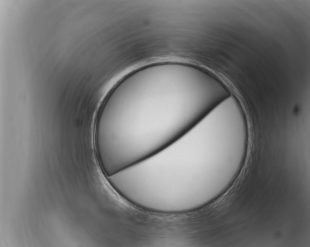 X0000115671246200911120959