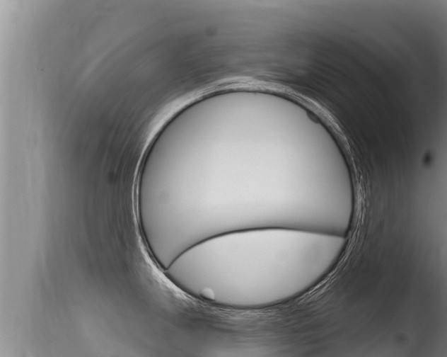 X0000115671247200911120959