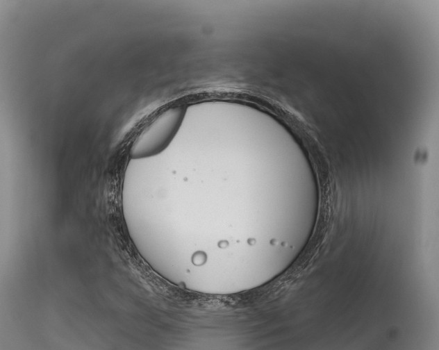 X0000115671255200911120958