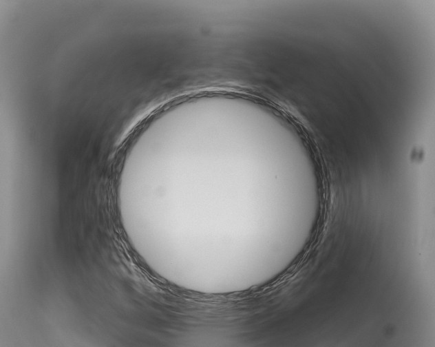 X0000115671256200911120958