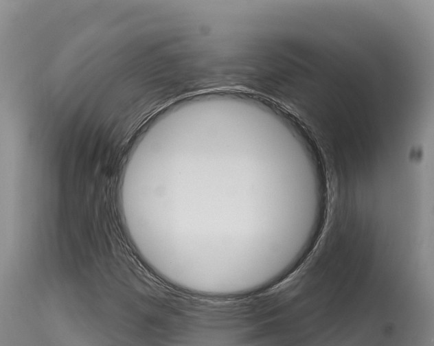 X0000115671257200911120958