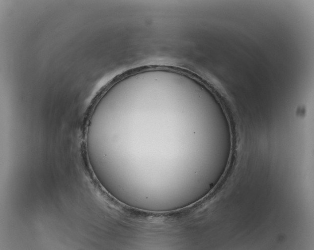 X0000115671264200911120958