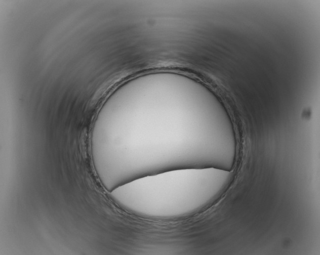 X0000115671265200911120958