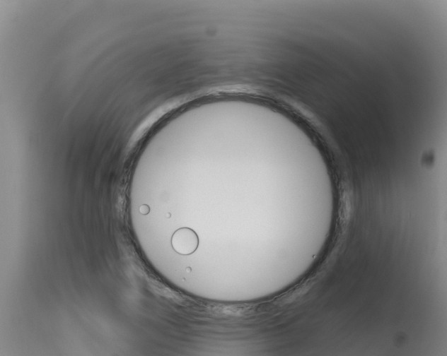 X0000115671266200911120958