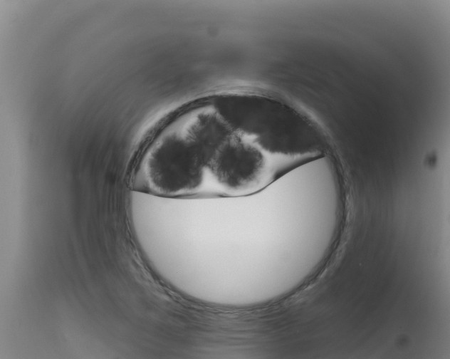 X0000115671267200911120958