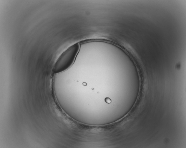 X0000115671268200911120958