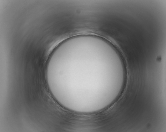 X0000115671269200911120958