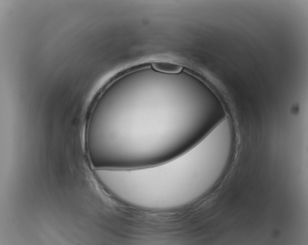 X0000115671272200911120958
