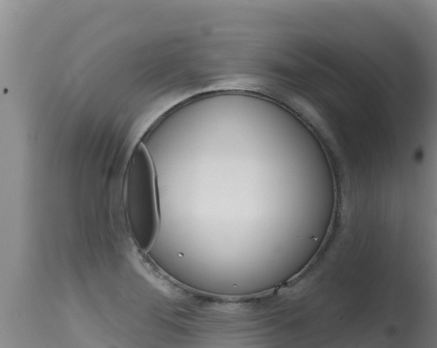 X0000115671276200911120958