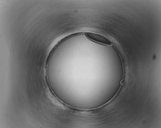 X0000115671280200911120958