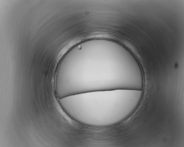 X0000115671282200911120958