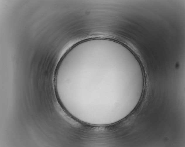 X0000115671283200911120958