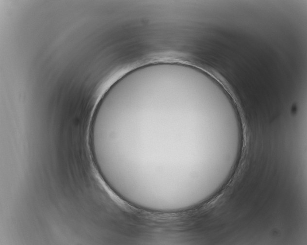 X0000115671285200911120958