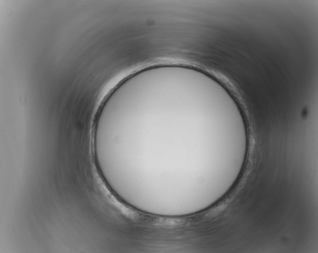 X0000115671286200911120958