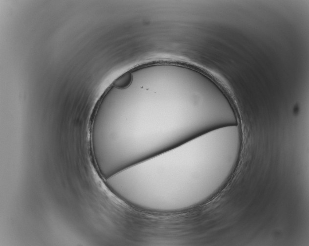 X0000115671287200911120958