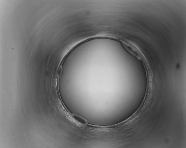 X0000115671292200911120958