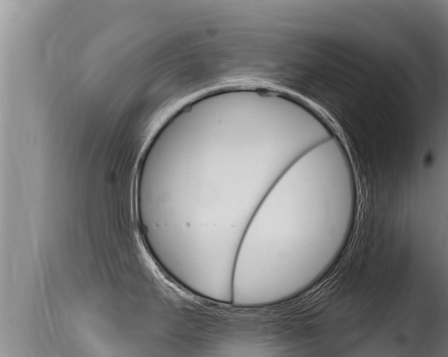 X0000115671295200911120958