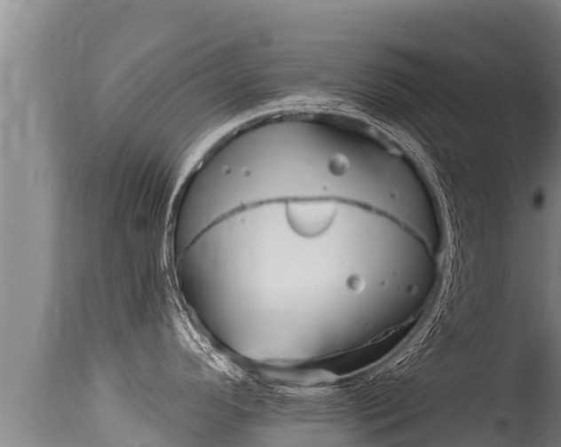 X0000115671296200911120957