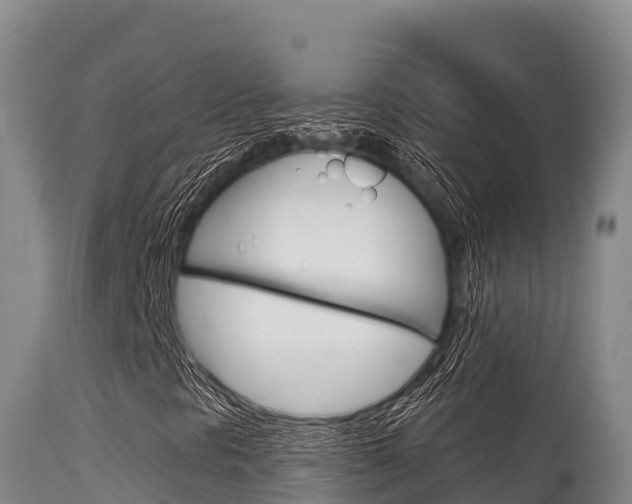 X0000115671297200911120957