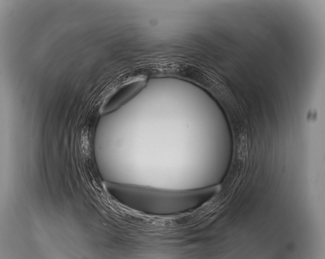 X0000115671298200911120957