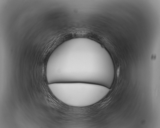 X0000115671299200911120957