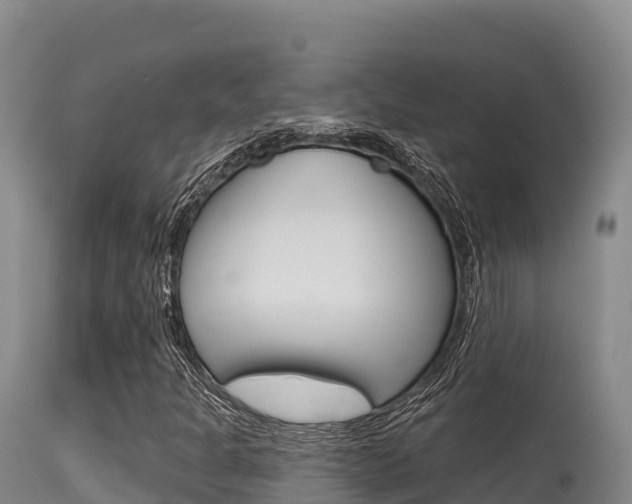 X0000115671301200911120957