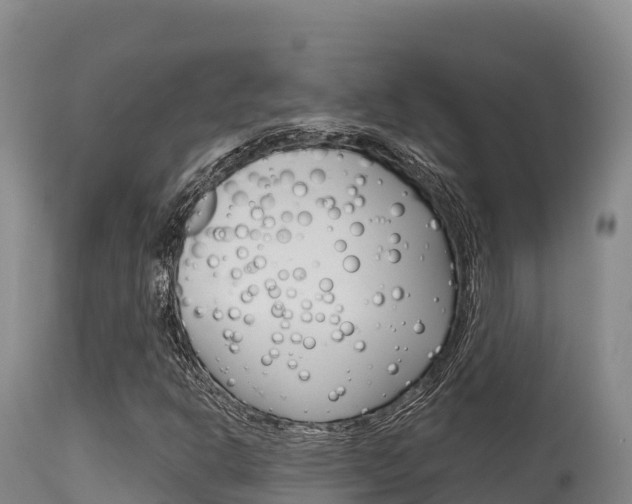 X0000115671302200911120957