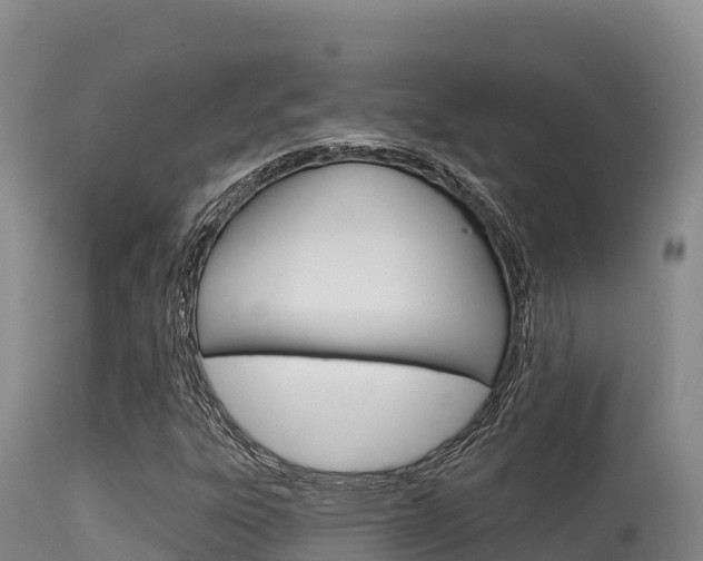 X0000115671303200911120957