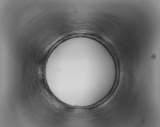 X0000115671305200911120957