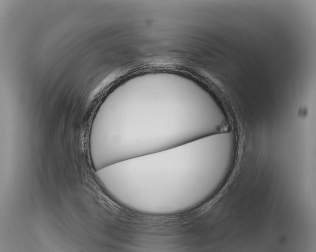 X0000115671306200911120957