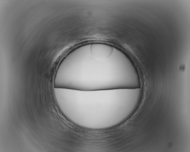 X0000115671307200911120957