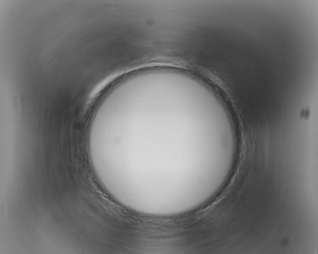 X0000115671310200911120957