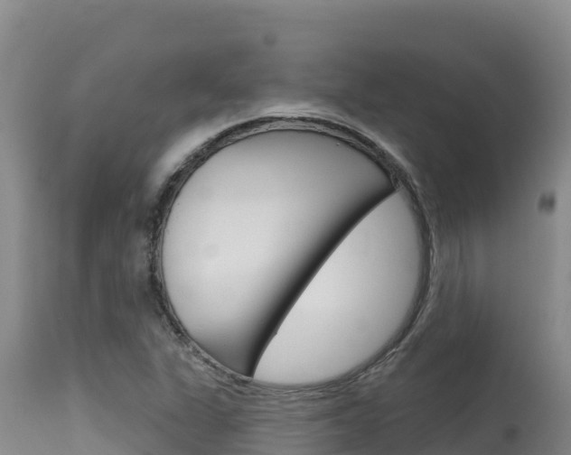 X0000115671311200911120957